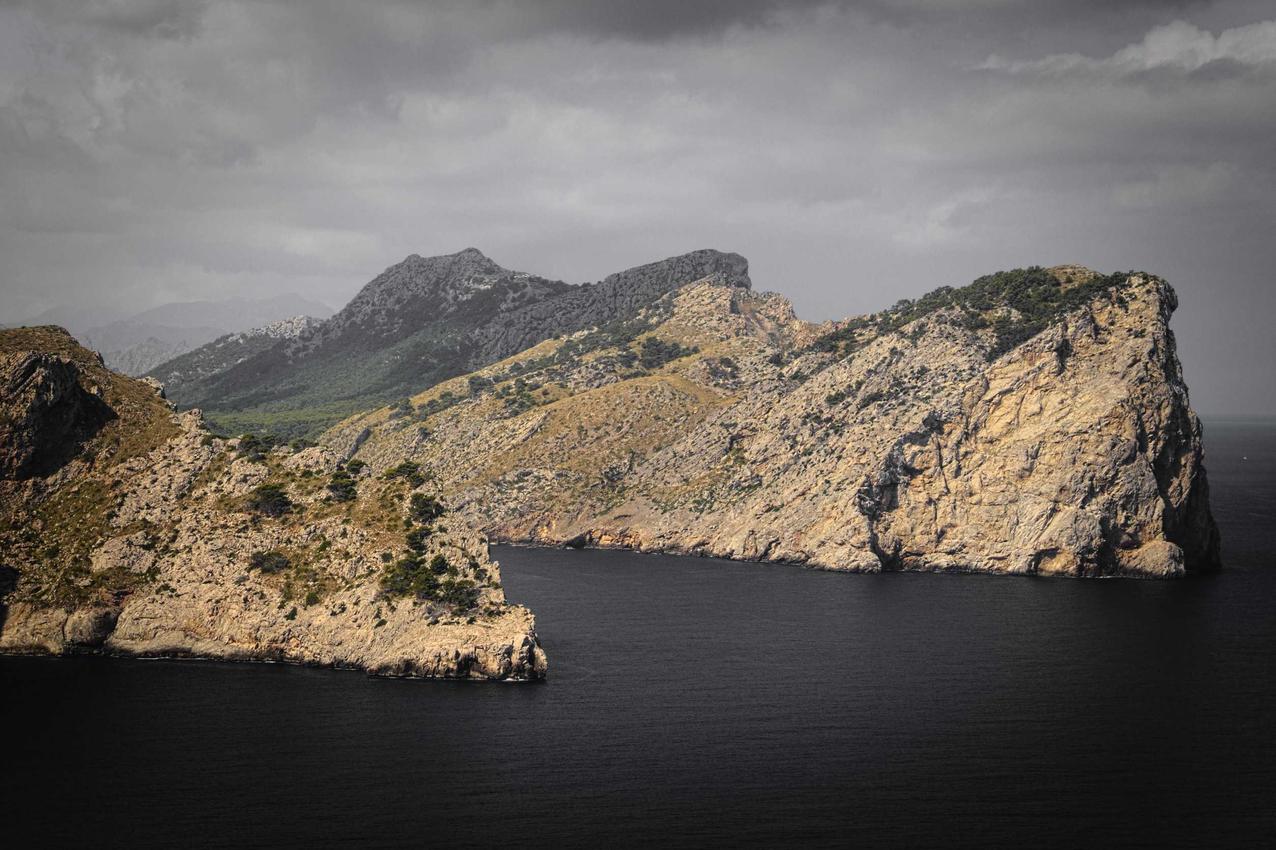 Quia nihil reprehenderit placeat architecto